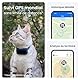 Tractive CAT Mini GPS Tracker | Bundle mit Gummihalterung | Marktführer | Live-Ortung | Positionsverlauf | Gesundheitswarnungen | Aktivitätstracking | Halsband inkludiert