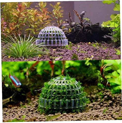 Plastica riutilizzabile per acquario, piante vive, decorazione per acquario, filtro a sfera di muschio per contenitori, sfera minerale, ornamento utile e pratico - Image 8