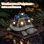 Solar Garden Outdoor Decor Turtle Statue with Dark Blue Roses & 7 LED Lights – Outside Tortoise Decor for Yard Patio Balcony & Backyard - Home House Decoration Art- Gift for Women Mom & Grandma