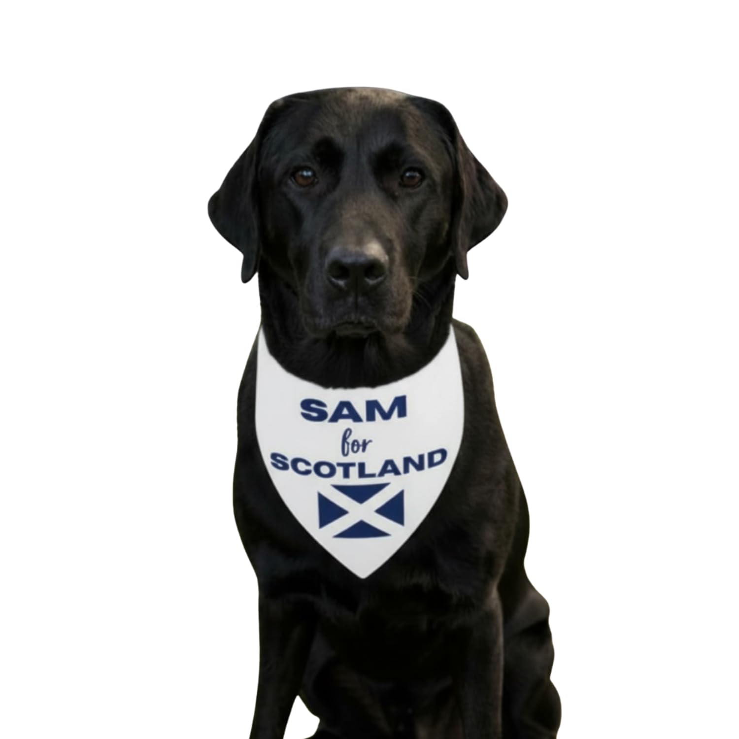 Personalised Pet Bandana “For Scotland” Perfect for World Cup & Rugby Supporters. Custom Dog Bandana Scottish Pets. World Cup Supporter Gift (M/L: 15-48cm)