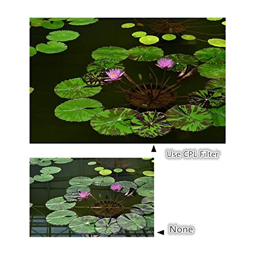 Zirkular-Polarisationsfilter für Nikon Coolpix P950 Digitalkamera