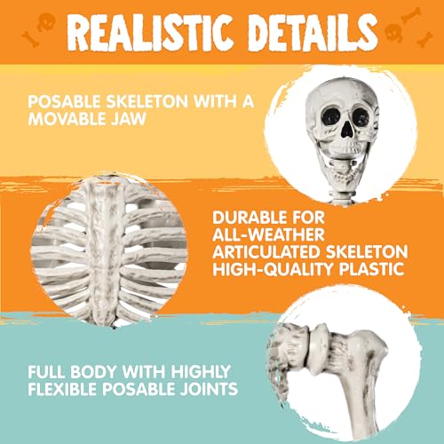 Image of JOYIN 5.6 FT Halloween Posable Life Size Skeleton Full Body Realistic Bones with Movable Joints for Halloween Indoor and Outdoor Decoration Props Spooky Scene Party Decorations (White)