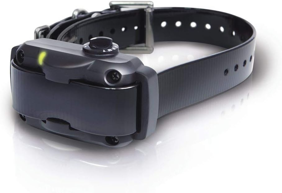 Collier dogtra ys 600 Clearance