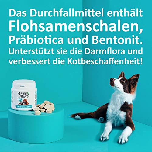 Green Hero Durchfall-Tabletten für Hunde & Katzen, 60 Kautabletten - Mittel gegen Durchfall mit Präbiotika - Unterstützung von Magen & Darmflora - Ergänzungsfuttermittel bei Magenproblemen