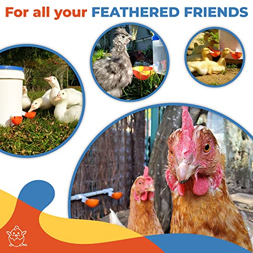 Lil'Clucker 5 Pack) Lil Clucker Large Automatic Chicken Waterer Cups thumb #5