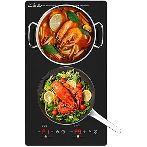 QTYANCY Electric Cooktop, Portable Electric Stove 110V 2 Burners 9 Heating Levels with 2 Handle, 2200W Knob Control Child Safety Lock & Timer (12in) Cover
