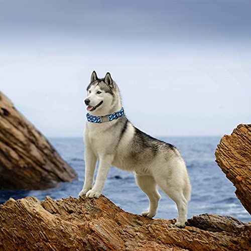 Elegant little tail Dog Collar, Blue Shark Pattern Pet Collar Durable Cute Dog Collars Male or Female Pet Gift Adjustable Dog Collar for Small Dogs - Image 5
