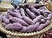 Organic Fresh Japanese Purple Sweet Potato by RawJoy Farms