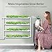 VIVOSUN Wall-Mounted Hydroponic Grow Kit, 1 Layers 36 Plant Sites 4 Food-Grade PVC-U Pipes Hydroponics Planting System with Water Pump, Pump Timer, Nest Basket and Sponge for Leafy Vegetables