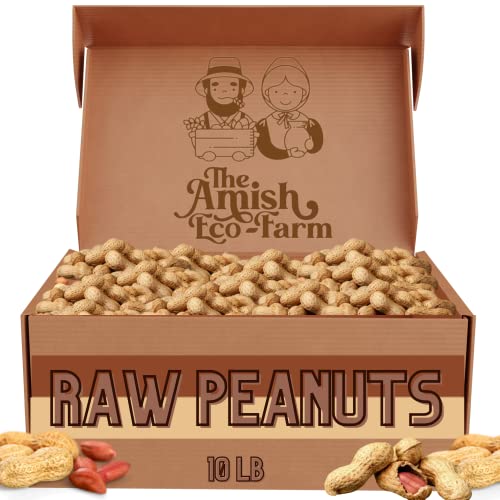 The Amish Eco-Farm | Fancy Size | Bulk Raw Peanuts In Shell, Virginia Grown | Unsalted Peanuts | Boiled Peanuts | Squirrels And Birds Feed. (10Lb) #TOP20