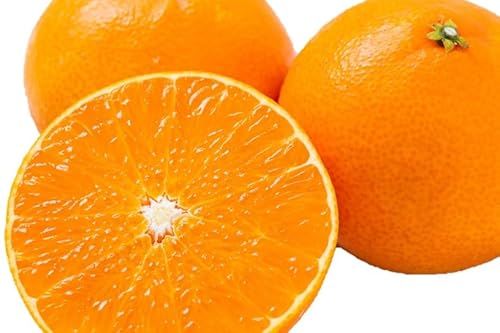 「夕やけブランド」ぷるぷる食感(まどんな)2kg ※紅まどんな と同品種 (D49-39)