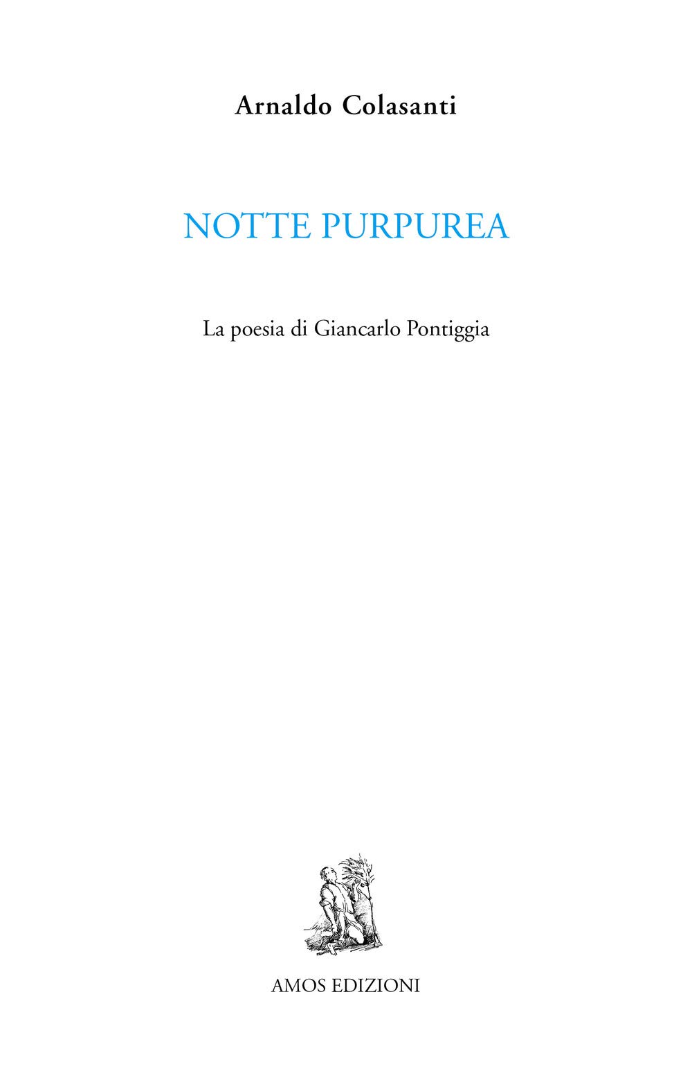 Notte Purpurea. La Poesia Di Giancarlo Pontiggia - 4