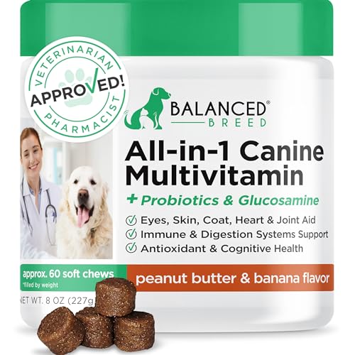 10 Best All In One Dog Supplement