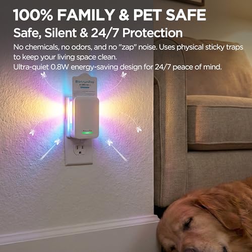 Flying Insect Trap with 5 Refills - Use Code YREVA4BN - Image 5