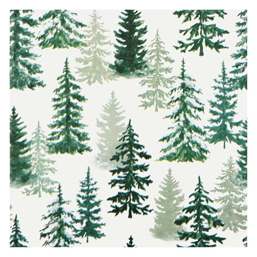 NX}Xc[ y[p[ivL ~ fpȐX ̖ ĝăp[eB[ivL 6.5C` NX}X Ebhh ` nh^I zf[xr[V[ EFfBOp[eB[pi 100