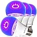Birsppy AmeriLuck LED...image