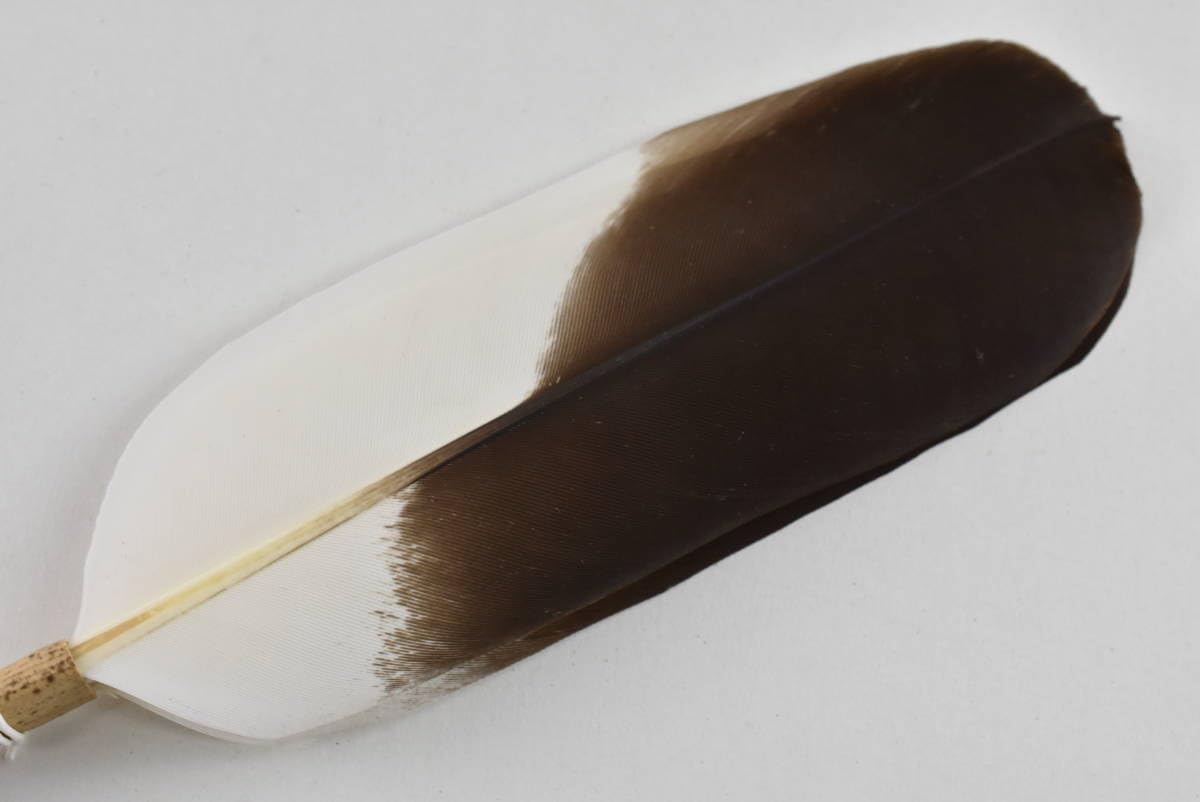 Amazon.co.jp: 煎茶道具 煎茶用羽箒 野雁 : ホーム＆キッチン