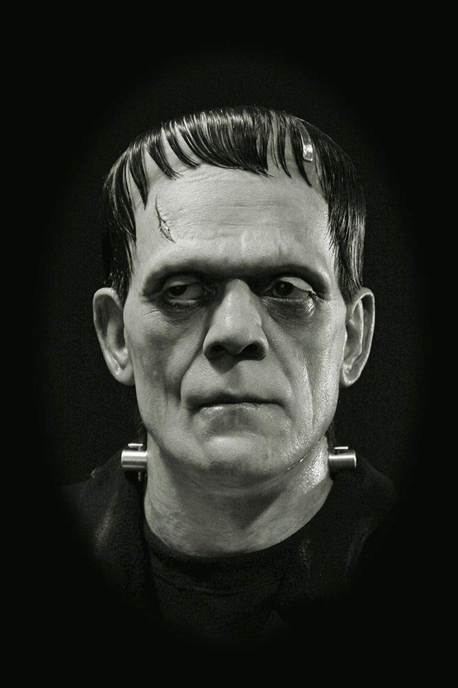 Amazon.com: ArtExpert Boris Karloff - Frankenstein by Hollywood