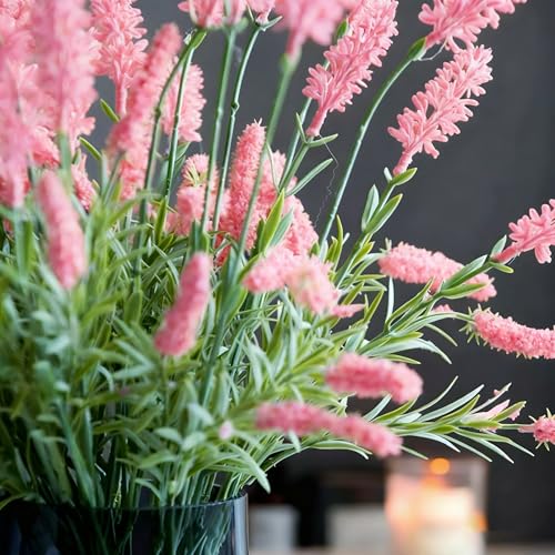 Mixrug 500pcs Mixed Lavender Seeds for Planting, Non-GMO Heirloom Lavender Perennial Flower Seeds Plants, Open Pollinated Beauty Home Garden Flowers in Outdoors Indoors - Image 6