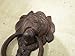 Cast Iron Antique Style Rustic LION HEAD Door Knocker Victorian Front Door Knock for Kitchen, Farmhouse, Bar, Home Decor...