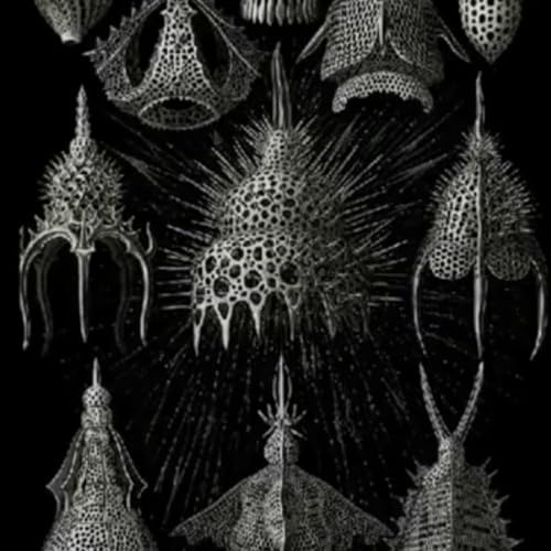 Misnomer ( Piano By Daniel Winn )