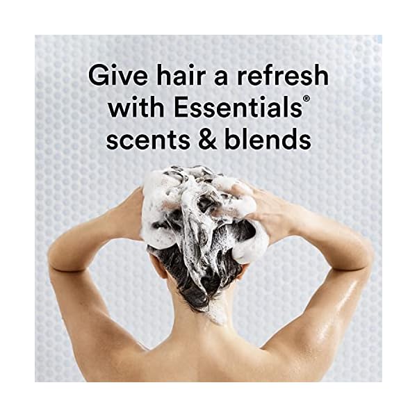 Suave-Essentials-Moisturizing-Shampoo-for-Dry-Hair-Ocean-Breeze-with-Sea-Algae-Extract-and-Vitamin-E-30-oz-Pack-of-6 Suave Essentials Moisturizing Shampoo for Dry Hair Ocean Breeze with Sea Algae Extract and Vitamin E 30 oz, Pack of 6