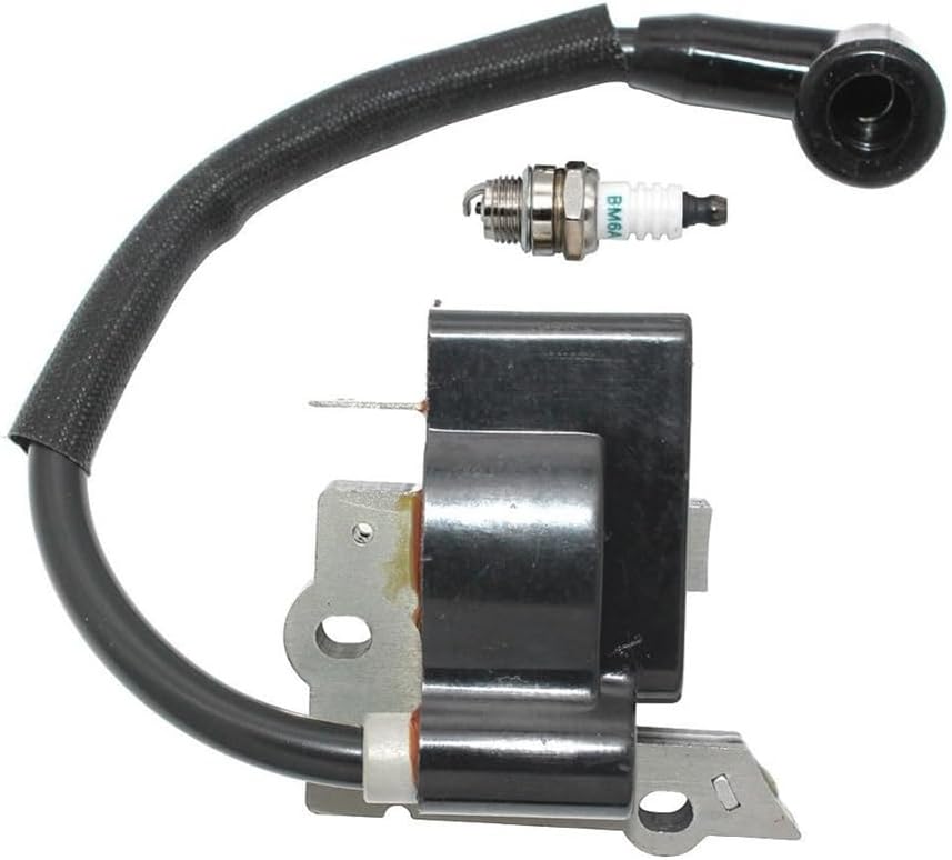 Ignition Coil Fit for TT-20 TT-85 TT-125 XT20 XT20T XT30D XT40 XT50 XT50T XT85 XT85T XT90 XT-20 XT-50 XT-85 XT100 XT125