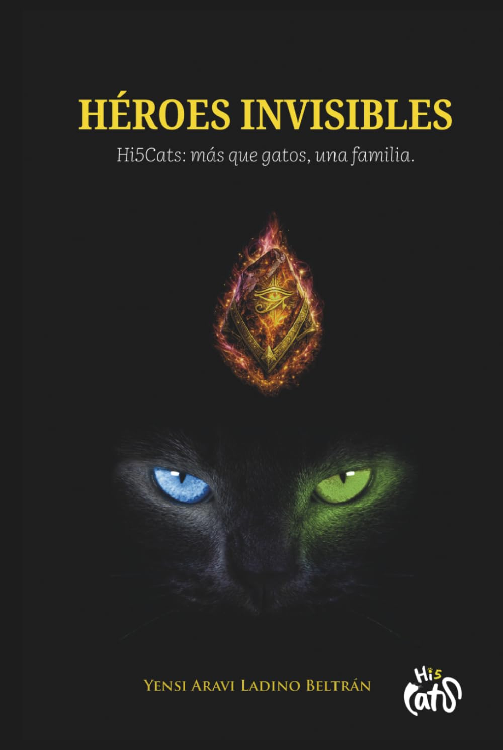 HÉROES INVISIBLES: Hi5Cats: Más que gastos, una familia.