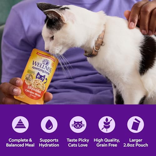 Image of Wellness Appetizing Entrees Shredded Adult Wet Cat Food, Natural, Protein Rich, Grain Free, Chicken Recipe, 2.8 oz, Pack of 8 Pouches