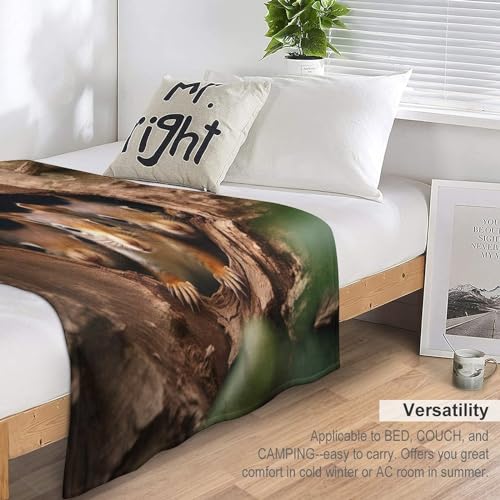 Couverture de lit flannel rides résistantes plaid écureuil chaud