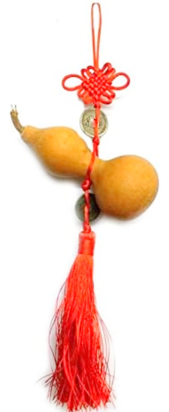 Purvik Vastu Collection Feng Shui Vastu Fengshui Yantra Gifft Idols & Figurines Auspicious Natural Wu Lou (Wu Lu) Gourd with Lucky Coins Hanging Amulet Hanging