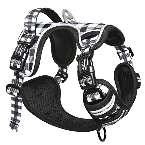 LupinePet Eco Hundegeschirr – Aus Recycelten PET-Flaschen, 2,5 Cm Breit, Größe 61–96,5 Cm
