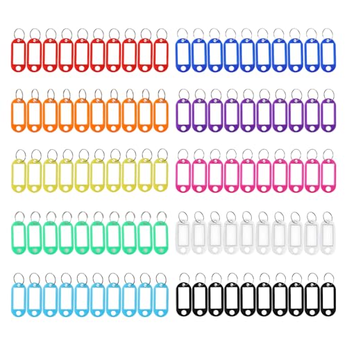 Flearitzo 100 Llaveros de Plástico personalizables con anillo Etiquetas para Llaves para llaves maletas mascotas (10 Colores)