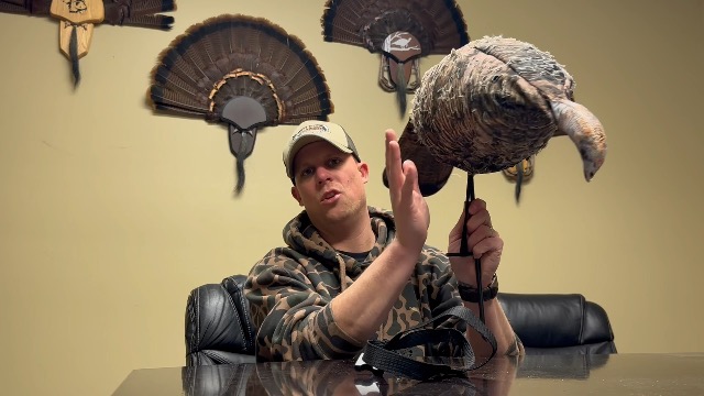 Montana Decoy Has A PURR-FECT Turkey - Fin And Field Blog