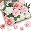 Blush Pink & White