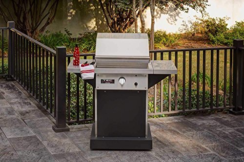 Tec Patio 1 Fr Infrared Grill On Black Pedestal With Two Side Shelves And Warming Rack (Pfr1Lppeds-Pfr1Wr), Propane Gas #TOP1