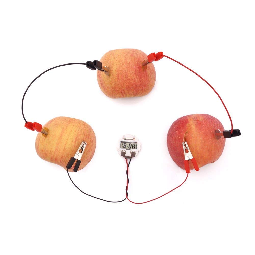 REES52 Fruit BatteryPotato Alarm Clock 1Set DIY Fruit Battery
