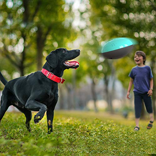 Brinquedo para mastigar cachorro - Suporte de alimentador para cães Ferramenta útil de alimentação R