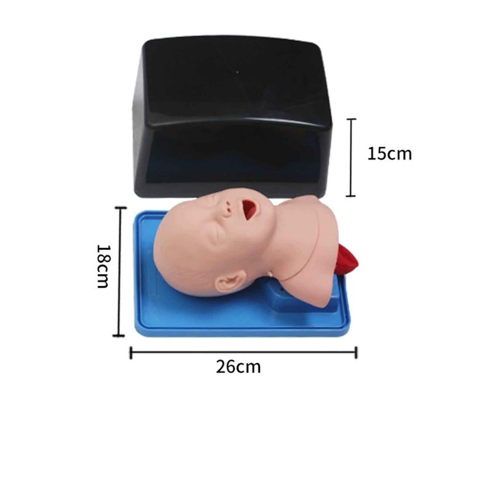 Mannequin d'intubation, simulateur de gestion des voies aériennes, intubation endotrachéale par PVC, pour l'enseignement en laboratoire, formation infirmière et médicale A