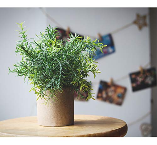 Mini-Plantes-dEucalyptus-Artificiel-en-Potilauke-Lot-de-3-Mini-Plantes-Artificielles-en-Pot-en-Plastique-DeucalyptusPlantes-Artificielles-Interieur-pour-Maison-Jardin-Bureau-Salle-de-Douche