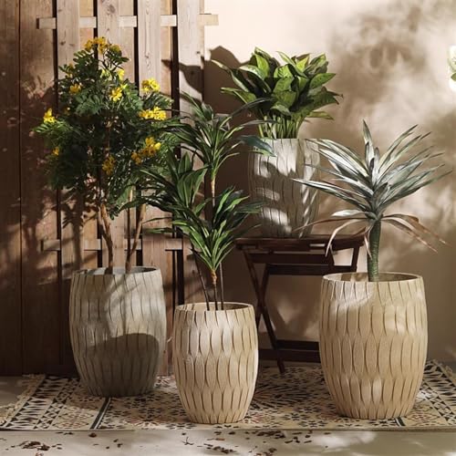 Jardinière de sol extra large : le pot idéal pour grand Oiseau de Paradis