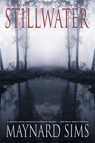 Stillwater (English Edition)