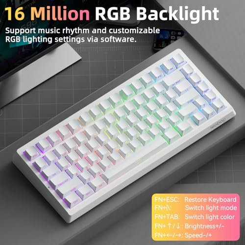 Image of LEOBOG A80 RT Hall Effect Gaming Keyboard Wired, Rapid Trigger Magnetic Switch Keyboard with 0.01mm RT Adjustable Actuation, 8000Hz Polling Rate, RGB Backlit Mechanical Keyboard 75% for PC Gamer