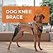 QUIXLENT Dog Knee Brace for Torn ACL, Adjustable ACL Brace for Dogs Rear Leg, Hip Dysplasia Brace for Dogs, Joint Pain Relief Support for Back Leg Recovery (L)