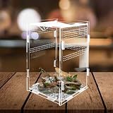 Korechain terrarium acrylique 12 x 12 x 20 cm transparent photo 3