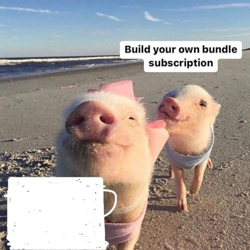 Page de couverture de A mind of thousand