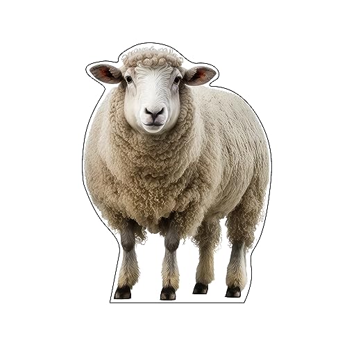 Life Size Cardboard Cutout Standup | Waterproof | Animals - Sheep