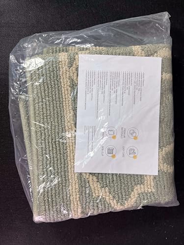 THRILRUG Indoor Door Mat, Non-Slip Absorbent Machine Washable Resist Dirt Entrance Rug - Image 2
