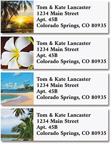 Amazon.com : Christmas Twilight Personalized Return Address ...