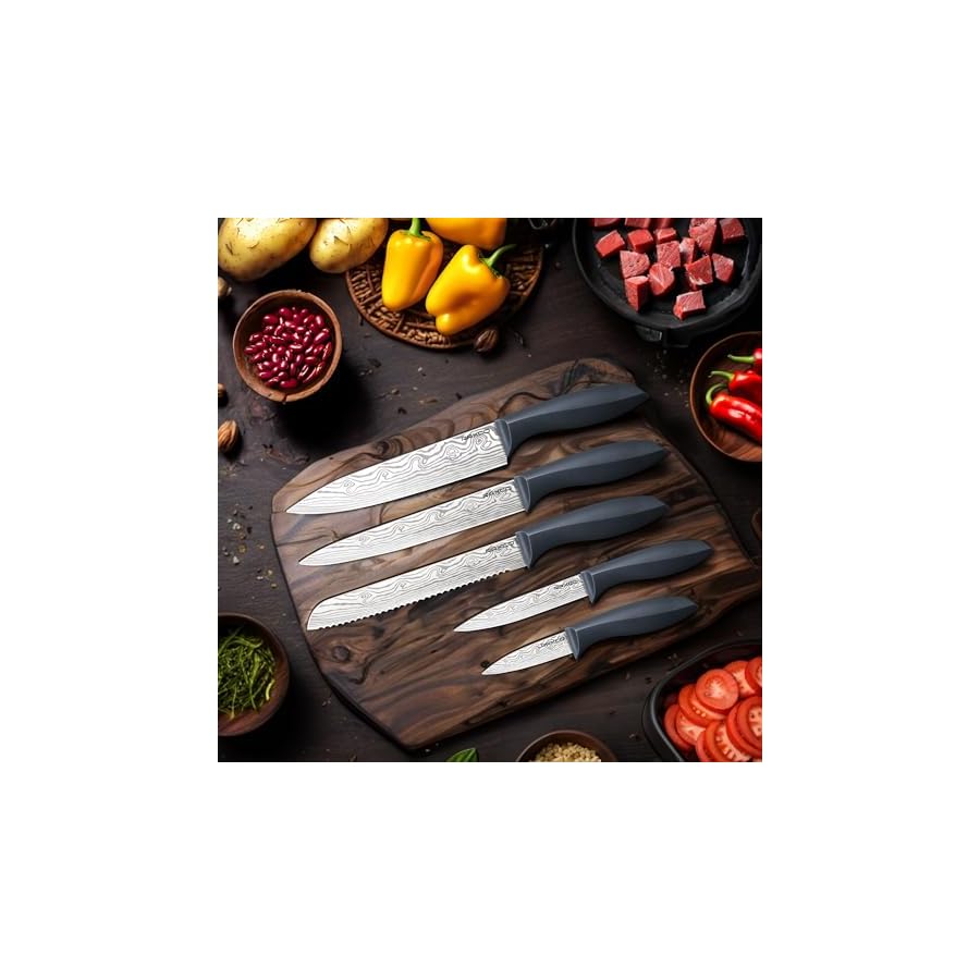 RAXCO Kitchen Knife Set-5 set of Knives,5 Kitchen Accessories-Fits for Apartment Flat condo,Cuchillo de cocina(Gray)